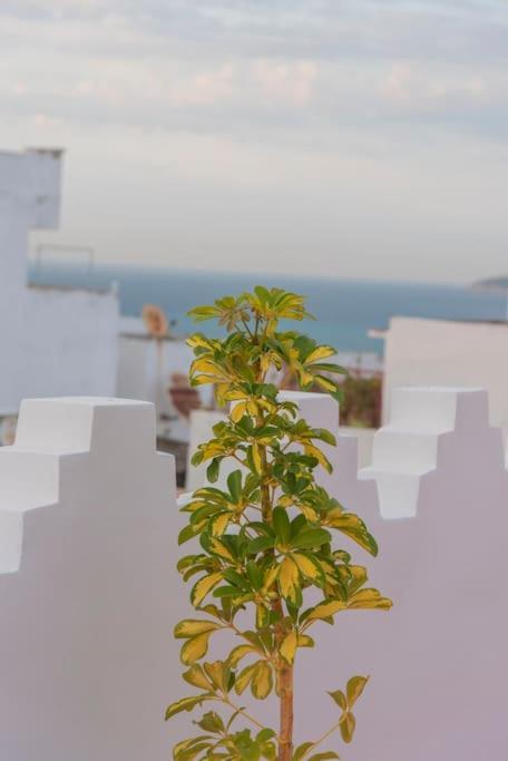 Apartament Dar Louban House In Tangier Kasbah Zewnętrze zdjęcie